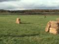 videos de Paintball Vibe 2008...suite...
