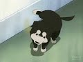 Random Amv Madness And now our sponsers