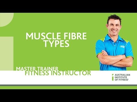 how to get more type 2 muscle fibers