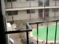 Hurricane Gustav damage
