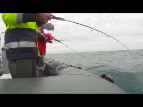 Jigging - séance de light jiigging avec des seriole !! les canne utiliser son des caperlan 6.2 spinning et casting , avec des jig de 150/170g !!!