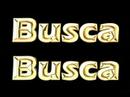 Busca Busca