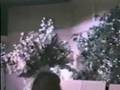 Śmieszny Film