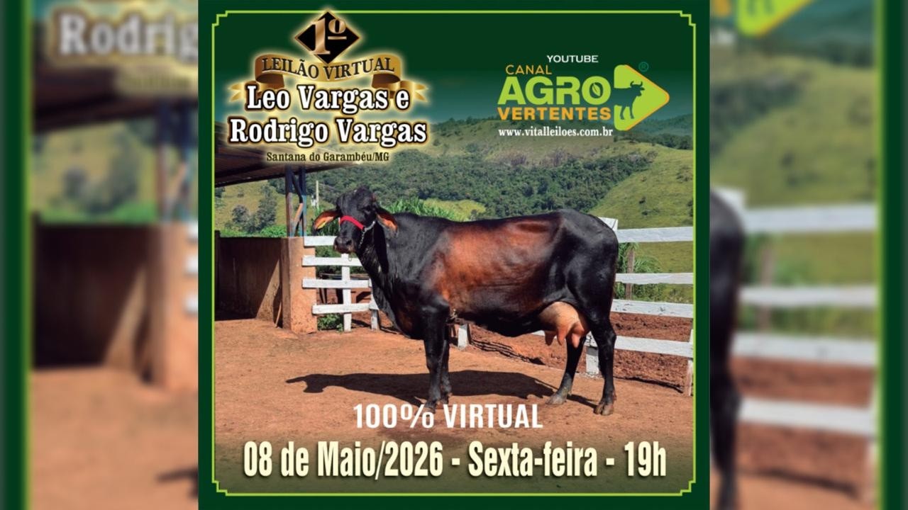 1º LEILÃO LEILÃO VIRTUAL LÉO VARGAS E RODRIGO VARGAS - SANTANA DO GARAMBÉU/MG - 08/05/2026