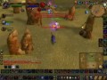 Feral Druid - WoW PvP [redubbed credits]