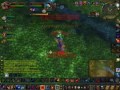 Feral Druid - WoW PvP [redubbed credits]
