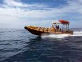 The Tight Turns of a RIBCRAFT 9.0