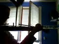 Floc38 au violon