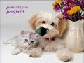 Dla przyjaci�lki Renatki :)