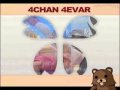 7chan 7evar
