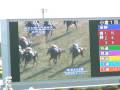 第49回きさらぎ賞の模様、パドックからレースまで