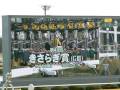 きさらぎ賞動画3