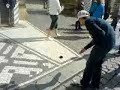 Spinne Spinne