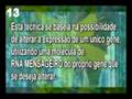 videos de BIO PT 1VEG_1.MPGTrabalho de Biologia - Aquecimento Global - PARTE 2