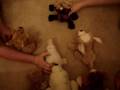 videos de webkinz ~ one mean bully