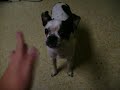 ethel with whipped cream :p