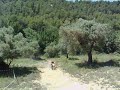 Crono del Calapata 3