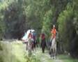 videos de Lits+Lauwers020 Mâlewei19