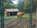 Bezoek aan een dierenpark