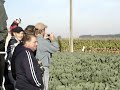 Omloop van Vlaanderen