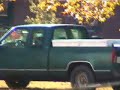 Alapaha GA Tree Removal