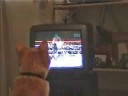 Boxing