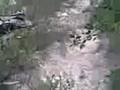 videos de LAS CUEVAS 