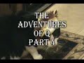 Cat video- The Adventures of Q, Part 4