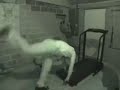 Treadmill Handstand Attempt Treadmill Handstand Attempt