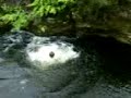 jamie henson  rockpool 