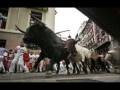 Video denuncia: le feste dove gli animali vengono trattati come protagonisti
