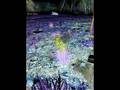 Slide Show super trippy!