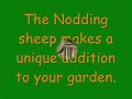 Nodding Sheep as a garden ornament