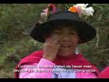 Quishuar: Sara Tarpay, Sembrio en Comuni�n
