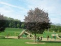 I uploaded a YouTube video -- Meadowview Park http://youtu.be/0YS5RC362do?a