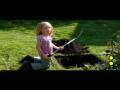 videos de Channel Bee: Goldfish