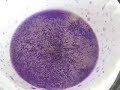 (Cymatics) Sound Part 4 - Water (Cymatics) Sound Part 4 - Water