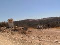 tepexi de rodríguez cantera tlayúa quarry fossils