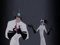 keizer kuzco