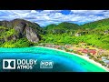 VIVID OLED COLORS 8K 120FPS HDR 4K VIDEO ULTR ..