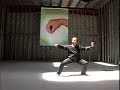Chen Taiji Master Ren Guang Yi - Compact Cannon Fist ll