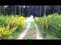 Click here to watch this video Fp3 Small (JC05) Jorge - 720p [HD]