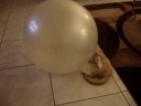 Gingy Exercise