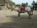 Chaplin werken aan de dubbele lijnen