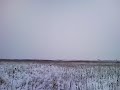 Wizz Air Landing At Timisoara