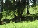 Flona Switzerland