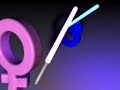 Fight Of The Gender Symbols