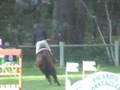 videos de Fontainebleau 2008 : Queen Of Paris 1