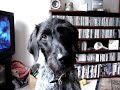 goofing around on a sunday afternoon