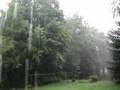 Summer Rain Storm